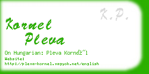 kornel pleva business card